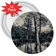 Dry Forest Landscape, Tierra Del Fuego, Argentina 3  Buttons (10 Pack)  by dflcprintsclothing