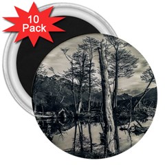 Dry Forest Landscape, Tierra Del Fuego, Argentina 3  Magnets (10 Pack)  by dflcprintsclothing