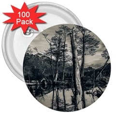 Dry Forest Landscape, Tierra Del Fuego, Argentina 3  Buttons (100 Pack)  by dflcprintsclothing