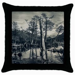 Dry Forest Landscape, Tierra Del Fuego, Argentina Throw Pillow Case (black) by dflcprintsclothing