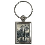 Dry Forest Landscape, Tierra Del Fuego, Argentina Key Chain (Rectangle) Front