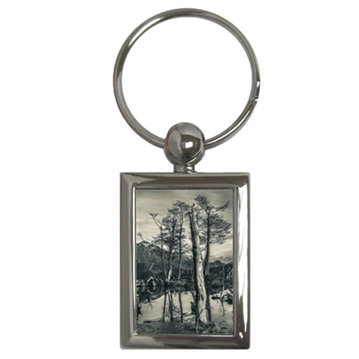 Dry Forest Landscape, Tierra Del Fuego, Argentina Key Chain (Rectangle)