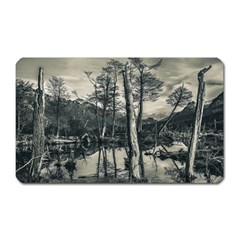 Dry Forest Landscape, Tierra Del Fuego, Argentina Magnet (rectangular) by dflcprintsclothing