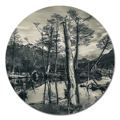 Dry Forest Landscape, Tierra Del Fuego, Argentina Magnet 5  (round) by dflcprintsclothing