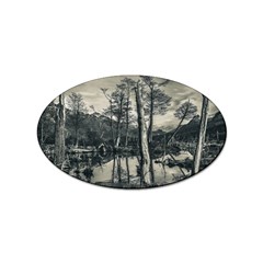 Dry Forest Landscape, Tierra Del Fuego, Argentina Sticker Oval (10 Pack) by dflcprintsclothing