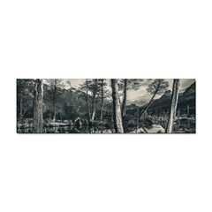 Dry Forest Landscape, Tierra Del Fuego, Argentina Sticker Bumper (100 Pack) by dflcprintsclothing