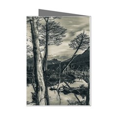 Dry Forest Landscape, Tierra Del Fuego, Argentina Mini Greeting Cards (pkg Of 8) by dflcprintsclothing