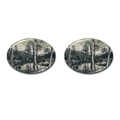 Dry Forest Landscape, Tierra Del Fuego, Argentina Cufflinks (oval) by dflcprintsclothing