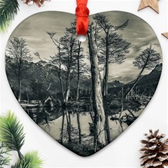 Dry Forest Landscape, Tierra Del Fuego, Argentina Heart Ornament (two Sides) by dflcprintsclothing