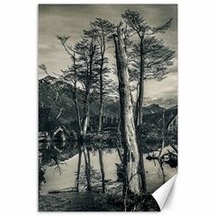 Dry Forest Landscape, Tierra Del Fuego, Argentina Canvas 24  X 36  by dflcprintsclothing