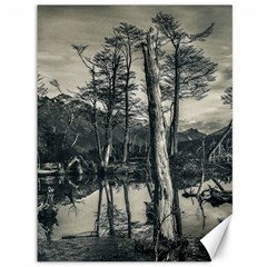 Dry Forest Landscape, Tierra Del Fuego, Argentina Canvas 36  X 48  by dflcprintsclothing