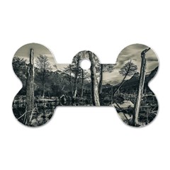 Dry Forest Landscape, Tierra Del Fuego, Argentina Dog Tag Bone (one Side) by dflcprintsclothing