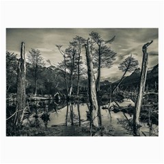 Dry Forest Landscape, Tierra Del Fuego, Argentina Large Glasses Cloth by dflcprintsclothing