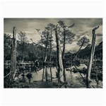 Dry Forest Landscape, Tierra Del Fuego, Argentina Large Glasses Cloth Front