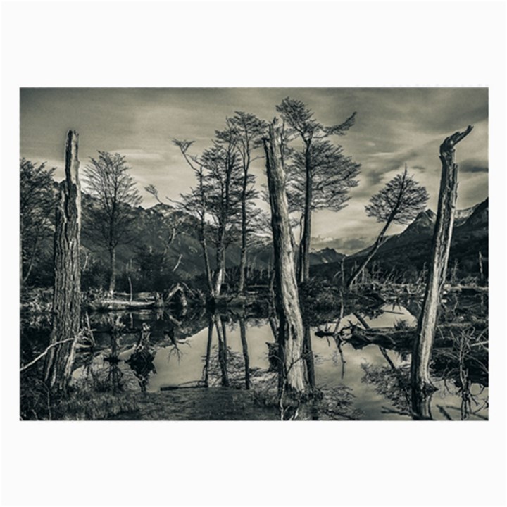 Dry Forest Landscape, Tierra Del Fuego, Argentina Large Glasses Cloth