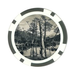 Dry Forest Landscape, Tierra Del Fuego, Argentina Poker Chip Card Guard by dflcprintsclothing