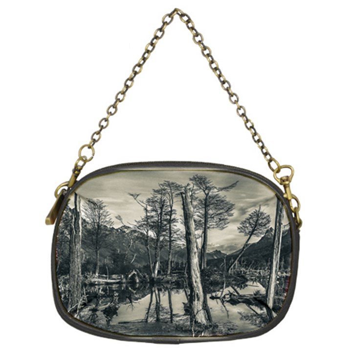 Dry Forest Landscape, Tierra Del Fuego, Argentina Chain Purse (Two Sides)