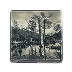 Dry Forest Landscape, Tierra Del Fuego, Argentina Memory Card Reader (square 5 Slot) by dflcprintsclothing