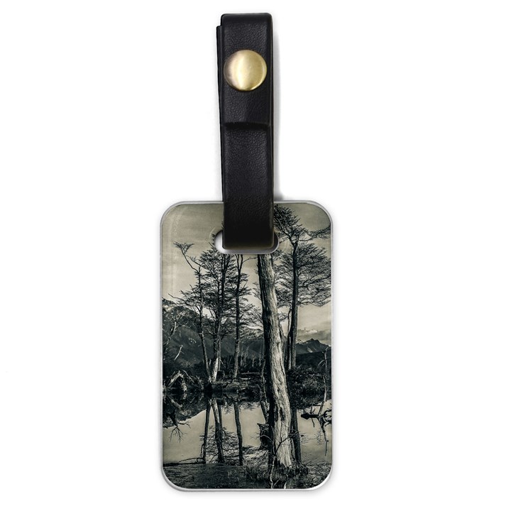 Dry Forest Landscape, Tierra Del Fuego, Argentina Luggage Tag (one side)