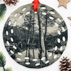 Dry Forest Landscape, Tierra Del Fuego, Argentina Round Filigree Ornament (two Sides)