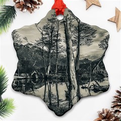 Dry Forest Landscape, Tierra Del Fuego, Argentina Snowflake Ornament (two Sides) by dflcprintsclothing