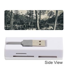 Dry Forest Landscape, Tierra Del Fuego, Argentina Memory Card Reader (stick) by dflcprintsclothing