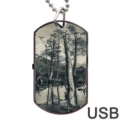 Dry Forest Landscape, Tierra Del Fuego, Argentina Dog Tag Usb Flash (one Side) by dflcprintsclothing