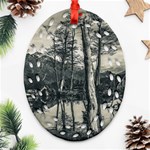 Dry Forest Landscape, Tierra Del Fuego, Argentina Ornament (Oval Filigree) Front