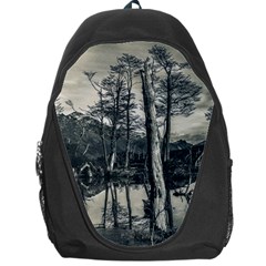 Dry Forest Landscape, Tierra Del Fuego, Argentina Backpack Bag by dflcprintsclothing