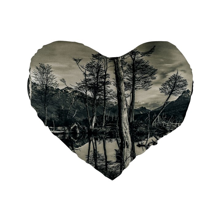 Dry Forest Landscape, Tierra Del Fuego, Argentina Standard 16  Premium Heart Shape Cushions