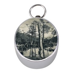 Dry Forest Landscape, Tierra Del Fuego, Argentina Mini Silver Compasses by dflcprintsclothing