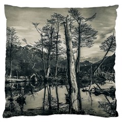 Dry Forest Landscape, Tierra Del Fuego, Argentina Large Premium Plush Fleece Cushion Case (one Side) by dflcprintsclothing