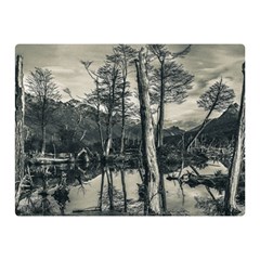 Dry Forest Landscape, Tierra Del Fuego, Argentina Two Sides Premium Plush Fleece Blanket (mini) by dflcprintsclothing