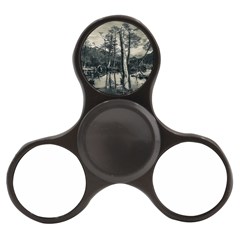 Dry Forest Landscape, Tierra Del Fuego, Argentina Finger Spinner by dflcprintsclothing