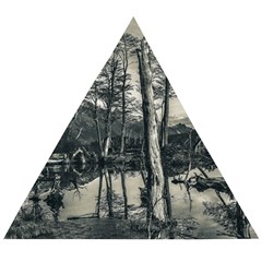 Dry Forest Landscape, Tierra Del Fuego, Argentina Wooden Puzzle Triangle by dflcprintsclothing