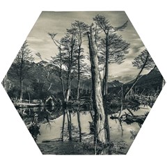 Dry Forest Landscape, Tierra Del Fuego, Argentina Wooden Puzzle Hexagon by dflcprintsclothing