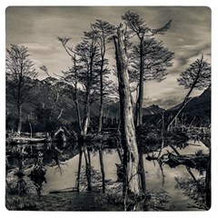 Dry Forest Landscape, Tierra Del Fuego, Argentina Uv Print Square Tile Coaster  by dflcprintsclothing