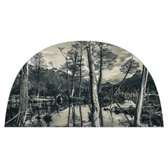 Dry Forest Landscape, Tierra Del Fuego, Argentina Anti Scalding Pot Cap by dflcprintsclothing