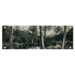 Dry Forest Landscape, Tierra Del Fuego, Argentina Banner And Sign 6  X 2  by dflcprintsclothing