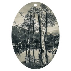 Dry Forest Landscape, Tierra Del Fuego, Argentina Uv Print Acrylic Ornament Oval by dflcprintsclothing