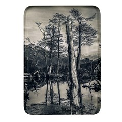 Dry Forest Landscape, Tierra Del Fuego, Argentina Rectangular Glass Fridge Magnet (4 Pack) by dflcprintsclothing