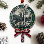 Dry Forest Landscape, Tierra Del Fuego, Argentina Metal X Mas Lollipop with Crystal Ornament Front