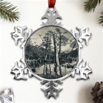 Dry Forest Landscape, Tierra Del Fuego, Argentina Metal Small Snowflake Ornament Front