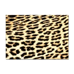 Leopard Print Sticker A4 (10 Pack) by TShirt44