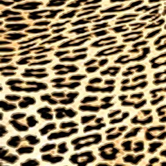 Leopard Print Play Mat (square) by TShirt44