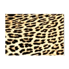 Leopard Print Crystal Sticker (a4) by TShirt44