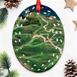 Coast Aerial View Beautiful Landscape Nature Ocean Road Graphy Aerial Coast Drone Ornament (Oval Filigree) Front