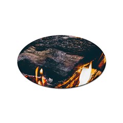 Wood Fire Camping Forest On Sticker (oval) by Bedest