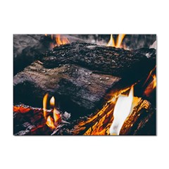 Wood Fire Camping Forest On Sticker A4 (10 Pack) by Bedest