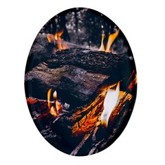 Wood Fire Camping Forest On Oval Glass Fridge Magnet (4 Pack) by Bedest